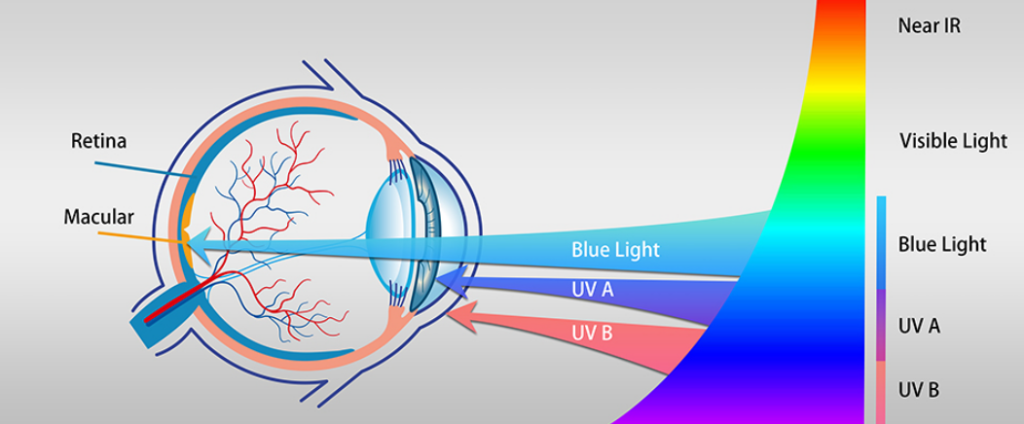 The Role of Blue Light in Modern Screens