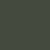 Green Polarized Lens