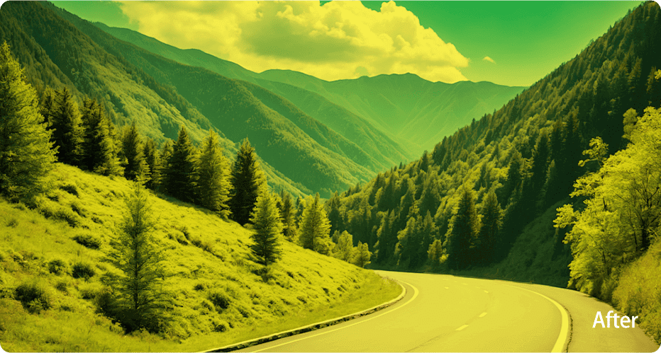 Lens Comparison After Yellow