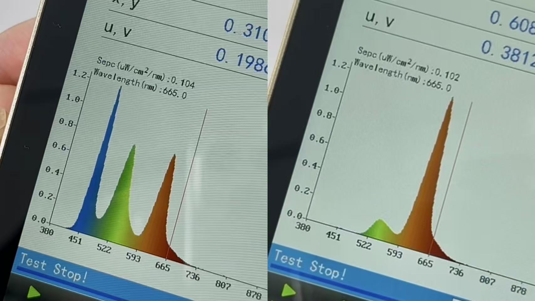 Goiteia orange glasses test